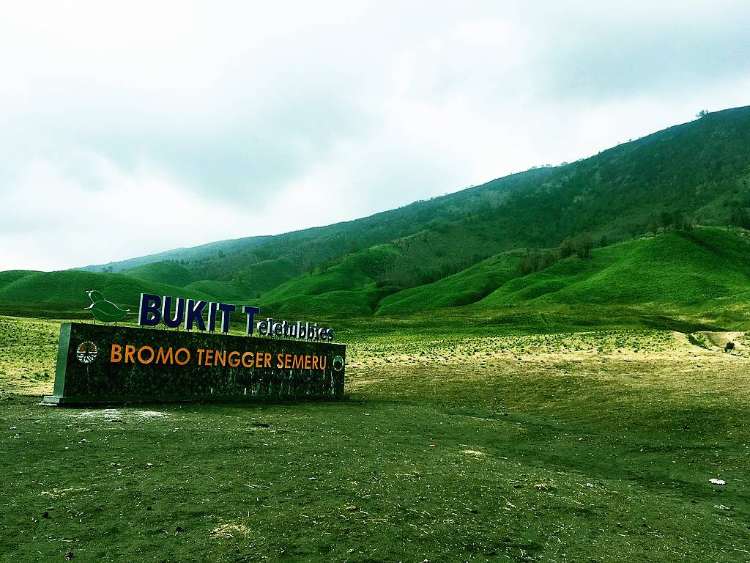 Wisatawan berfoto di Bukit Teletubbies Bromo